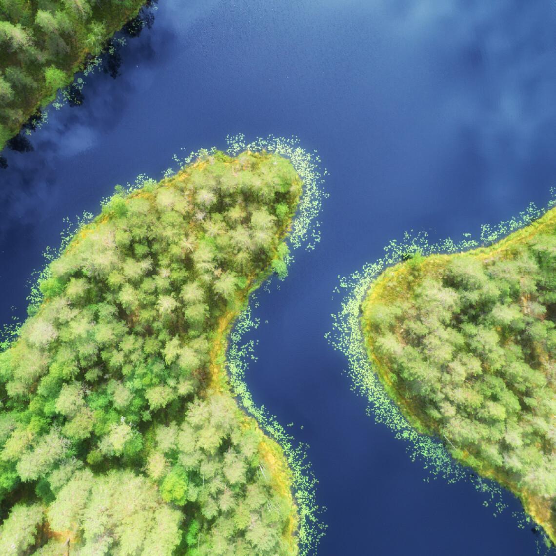 EmCe_Hiilijalanjalki