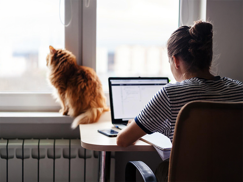 Tyttö tekee töitä EmCen kirjanpito-ohjelmalla